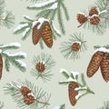 Winter evergreen christmas tree branches covered by snow. Winter holiday floral seamless pattern. Nature background with spruce,