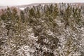 Winter evergreen forest, nature view from aerial view, snow-covered trees. Royalty Free Stock Photo
