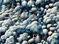 Winter fairy dreams: fantasy forest on a realistic background