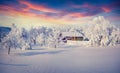 Winter fairytale, heavy snowfall covered the trees and houses in Royalty Free Stock Photo