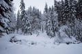 Winter fairytale, heavy snowfall covered the trees and houses in the mountain village. After the storm. Alps Royalty Free Stock Photo