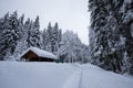 Winter fairytale, heavy snowfall covered the trees and houses in the mountain village. After the storm. Alps Royalty Free Stock Photo