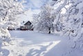 Winter fairytale, heavy snowfall Royalty Free Stock Photo