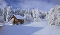 Winter fairytale, heavy snowfall covered the trees and houses in