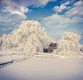 Winter fairytale, heavy snowfall covered the trees and houses Royalty Free Stock Photo