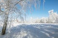 Winter fairytale landscape