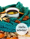 Winter, fall leaves, hot steaming cup of glint wine and a scarf Royalty Free Stock Photo