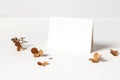 Winter, fall wedding, birthday table composition. Stationery mockup of place card. Dry hydrangea flowers and petals on Royalty Free Stock Photo