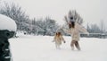 winter family activity outdoors. side view. Happy little girls, children are slowly walking through thick snow in the Royalty Free Stock Photo