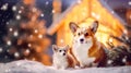 Corgi dog and cute corgi puppy on blurred snowy winter background with decorated house Royalty Free Stock Photo