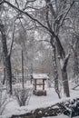 One of the most picturesque places in the snow-covered city park Royalty Free Stock Photo