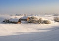 Winter farm Royalty Free Stock Photo