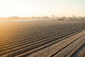 Winter farm field ready for new planting season. Preparatory agricultural work for spring. Agriculture and agribusiness. Choosing Royalty Free Stock Photo