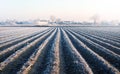 Winter farm field ready for new planting season. Preparatory agricultural work for spring. Agriculture and agribusiness. Choosing Royalty Free Stock Photo