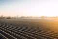 Winter farm field ready for new planting season. Preparatory agricultural work for spring. Choosing right time for sow fields Royalty Free Stock Photo
