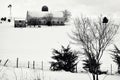 Winter Farm Scene