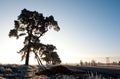 Winter Farming