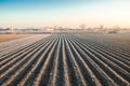 Winter farming field ready for new planting season. Spring sowing campaign. Agriculture and agribusiness. Protection from spring