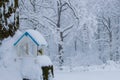 Winter Feed for birds. titmouse nuthatch in winter feeder Royalty Free Stock Photo