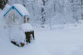 Winter Feed for birds. titmouse nuthatch in winter feeder Royalty Free Stock Photo