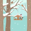 Winter feeder for birds in forest or park. Cartoon feeder hang on tree branch. Seasonal bird eating seeds and berries