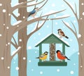Winter feeder. Snow woodland, birds food on tree poster. Feeding wild animals on nature, flat bullfinch chickadee robin Royalty Free Stock Photo