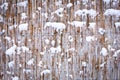 A Winter fence on nature in the park background Royalty Free Stock Photo
