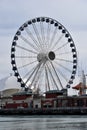 Winter Ferris Wheel