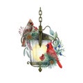 Winter festive cozy decoration. Red cardinal bird couple on a vintage style lantern. Watercolor painted illustration