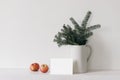 Winter festive stationery still life. Jug with green branches, red apple fruit on white table background. Blank greeting Royalty Free Stock Photo