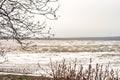 Winter field covered with firts snow. Dry grass and tree branches in the foreground Royalty Free Stock Photo