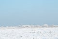 Winter field with fog. Royalty Free Stock Photo