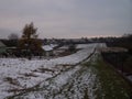 Winter field and forest in the background with a nice mist. Pink delicate sky in the early morning and fog. Royalty Free Stock Photo