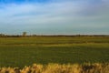 Winter field. On the horizon are visible wind power generators Royalty Free Stock Photo