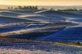 Winter field. picturesque hilly field Royalty Free Stock Photo