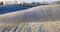 Field. a picturesque winter morning on a hilly field Royalty Free Stock Photo