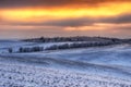 Field. a picturesque winter morning on a hilly field Royalty Free Stock Photo