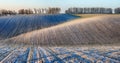 Field. a picturesque winter morning on a hilly field Royalty Free Stock Photo