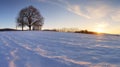 Winter field witn chapel - panorama rural landscape