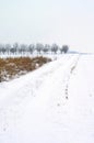 Winter fields Royalty Free Stock Photo