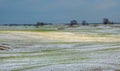 Winter fields in the snow. Winter. Wheat. Royalty Free Stock Photo