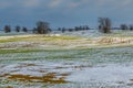 Winter fields in the snow. Winter. Wheat. Royalty Free Stock Photo