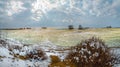 Winter fields in the snow. Winter. Wheat. Royalty Free Stock Photo