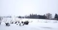 Winter Fields in Waterloo Region Royalty Free Stock Photo