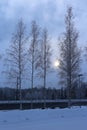 Winter in Finland: Creepy Winter Forest Royalty Free Stock Photo