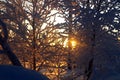 LeppÃÂ¤jÃÂ¤rvi and sunset in Winter Royalty Free Stock Photo
