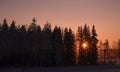 Winter in Finland, sunset, trees,