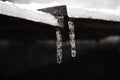 winter - the first icicles. There are two icicles hanging from the roof. Icicles hang from the roof. frozen water on the Royalty Free Stock Photo