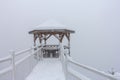 Winter snowfall has enveloped the entire space in the park with a white fluffy blanket, snow euphoria reigns in the air. Royalty Free Stock Photo