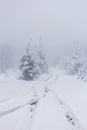 Winter snowfall has enveloped the entire space in the park with a white fluffy blanket, snow euphoria reigns in the air. Royalty Free Stock Photo